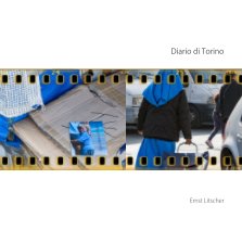 Diario di Torino book cover