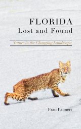 Florida Lost and Found book cover