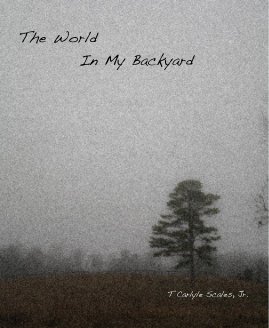 The World In My Backyard book cover