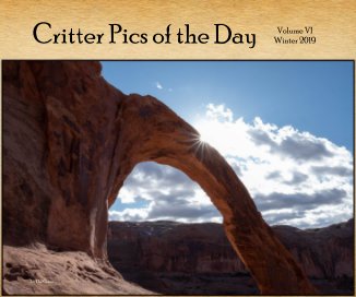 Critter Pics of the Day book cover