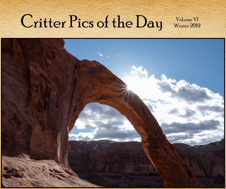 View Critter Pics of the Day by The Grims