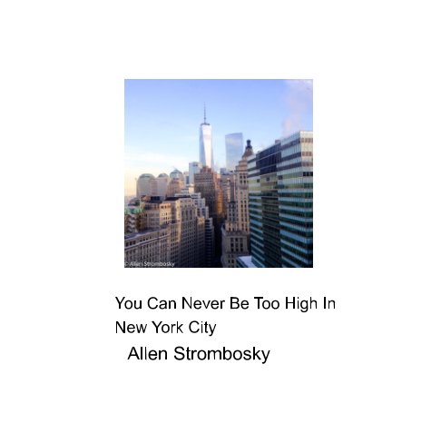 You Can Never Be Too High In New York City nach Allen J. Strombosky anzeigen