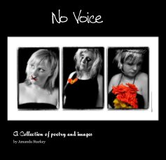 No Voice book cover