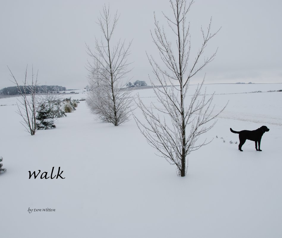 View Walk by Don Witten
