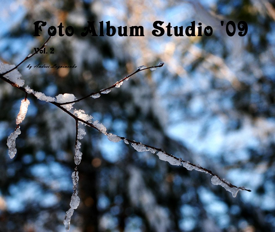 View Foto Album Studio '09 Vol. 2 by Andrei Logvinenko