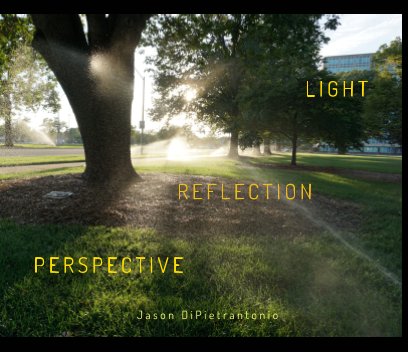 Light Reflection Perspective book cover