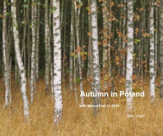 Autumn in Poland book cover