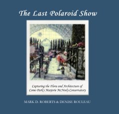 The Last Polaroid Show book cover