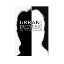 Urban Diptychs book cover