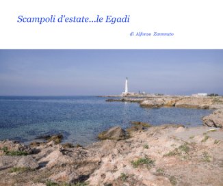 Scampoli d'estate le Egadi book cover
