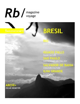 Brésil book cover
