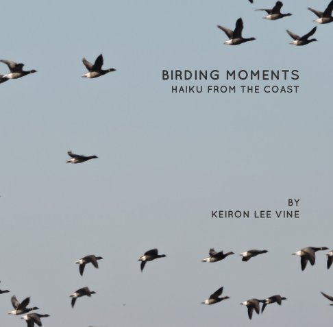 Visualizza Birding Moments di Keiron Lee Vine