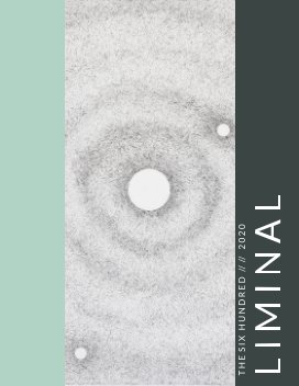 Liminal: Interstices Between and Betwixt book cover