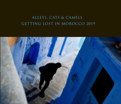 Alleys, Cats and Camels book cover