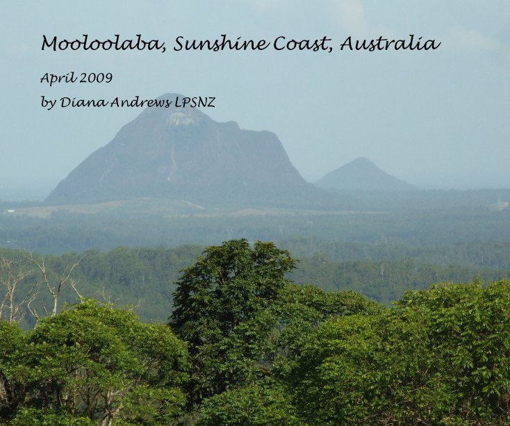 View Mooloolaba, Sunshine Coast, Australia by Diana Andrews LPSNZ