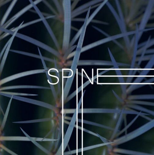 Visualizza Spine di Senia Ferrante