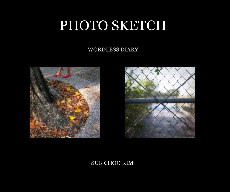 Visualizza PHOTO SKETCH di SUK CHOO KIM