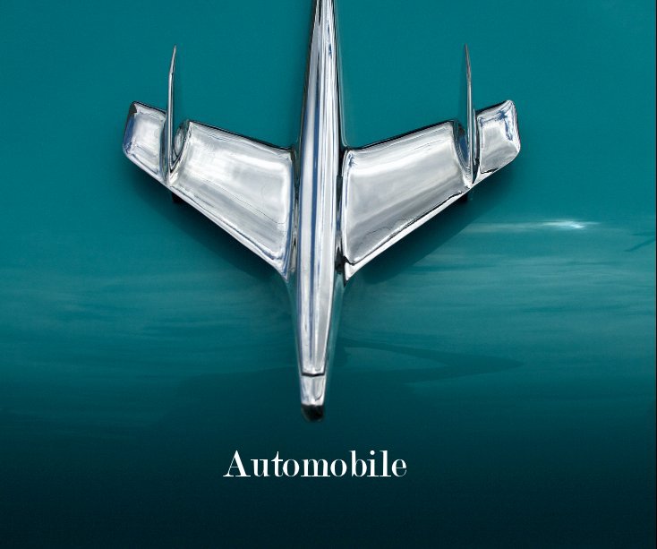 View Automobile by Susan Newbold