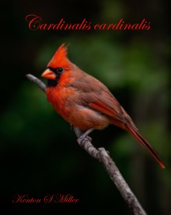 Cardinalis cardinalis book cover