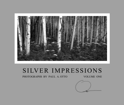 Silver Impressions book cover