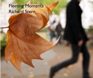 Fleeting Moments book cover