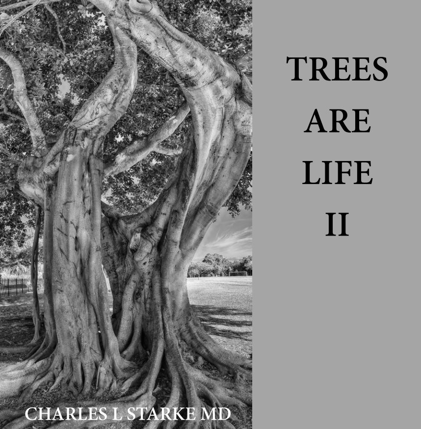 View Trees are Life II by Charles L Starke MD