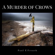 A Murder of Crows book cover