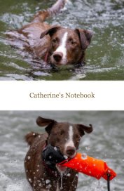 catherine's notebook kopi 10/19 book cover