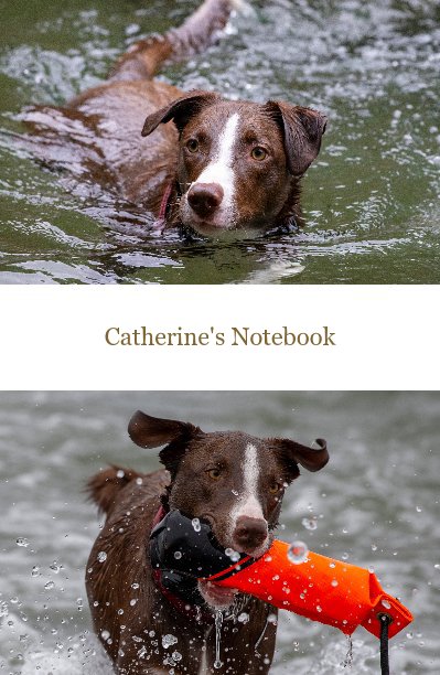 catherine's notebook kopi 10/19 nach Robert Lynn Rosenthal anzeigen