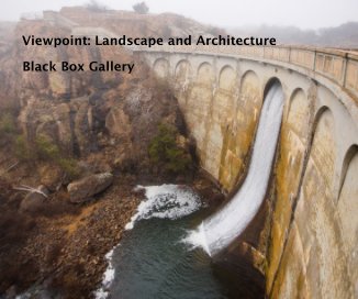Viewpoint: Landscape and Architecture book cover
