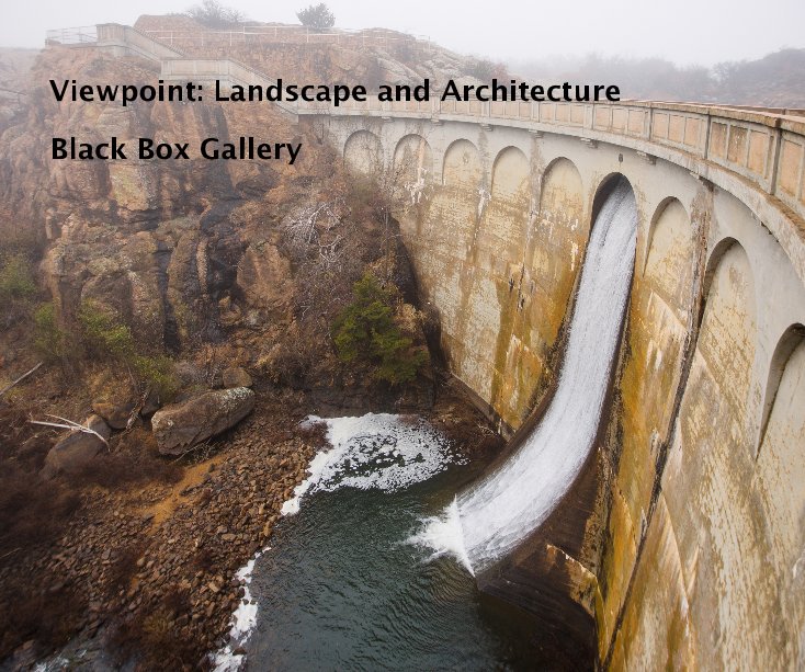 Ver Viewpoint: Landscape and Architecture por Black Box Gallery