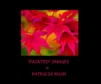 'PAINTED' IMAGES book cover