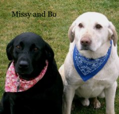 Missy and Bo book cover