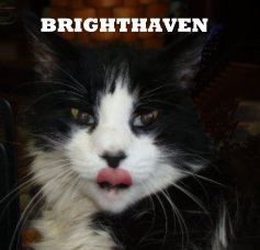 BrightHaven book cover