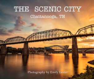 The Scenic City book cover