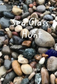 Sea Glass Hunt book cover