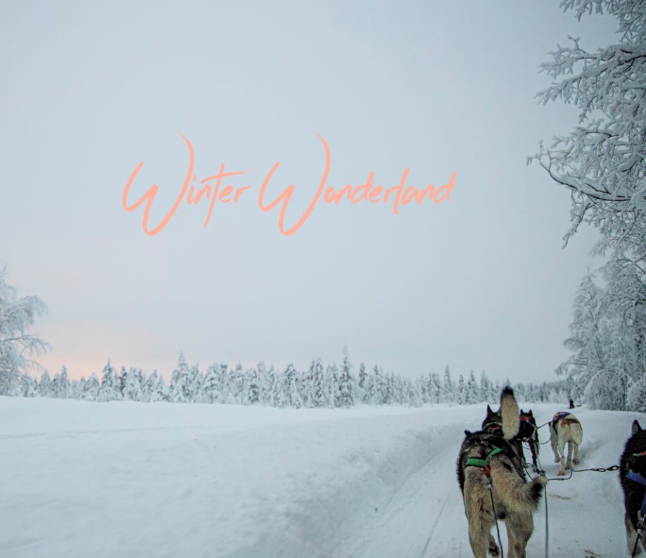 View Winter Wonderland by Marylou Badeaux