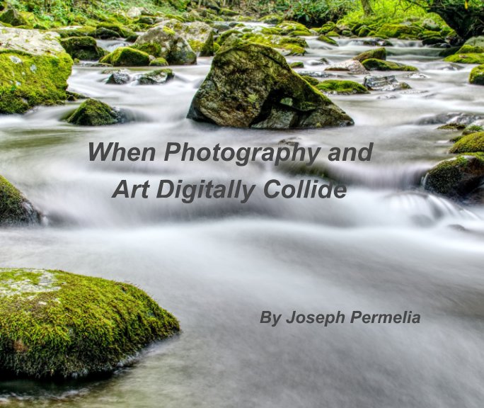 View When Photography and Art Digitally Collide by Joseph Permelia