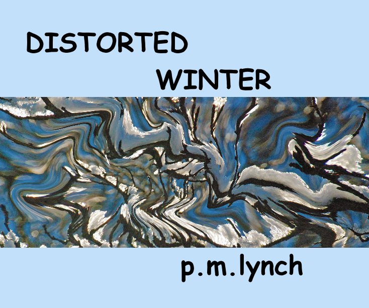 View Distorted Winter by P. M  .Lynch