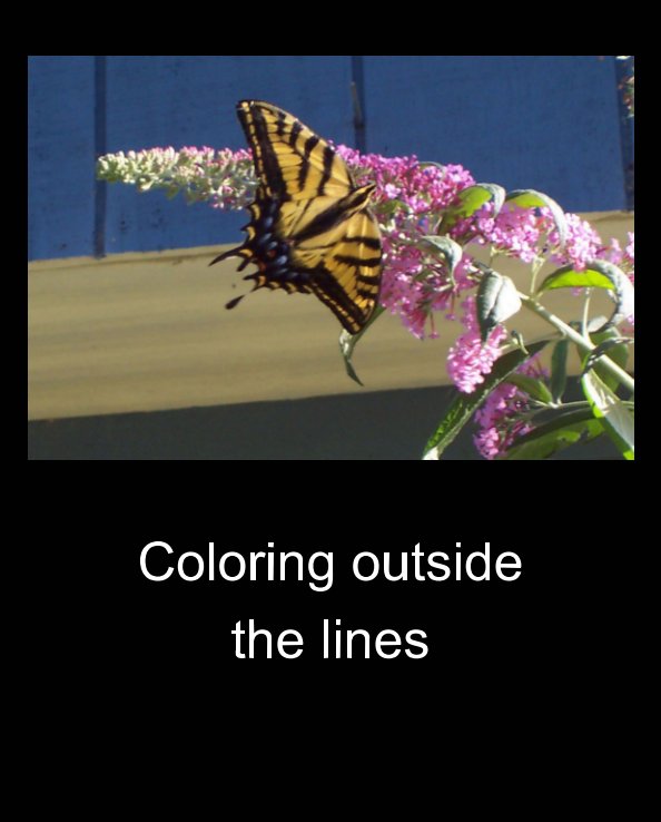 Coloring Outside The Lines by Dianna Weaver Blurb Books