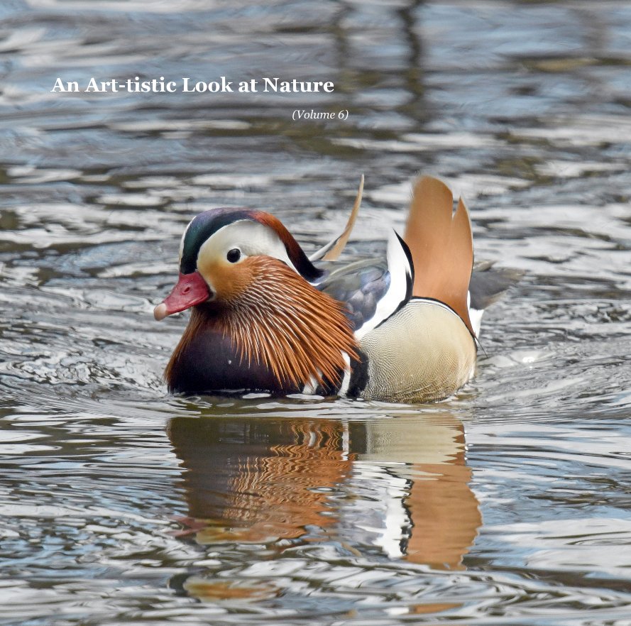 An Art-tistic Look at Nature (Volume 6) nach Art Frith anzeigen