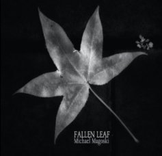 Fallen Leaf book cover