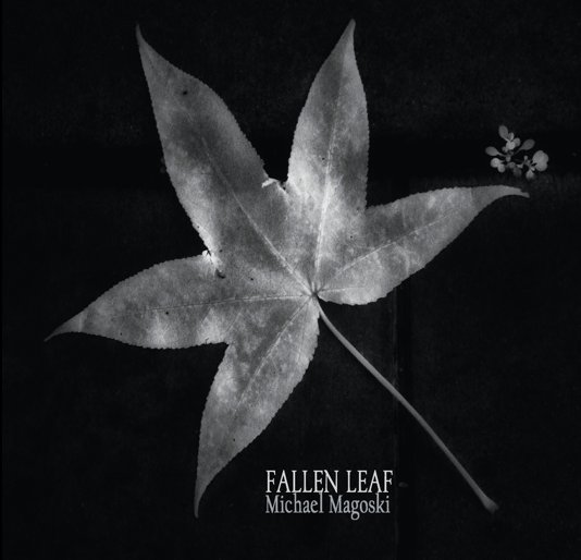 View Fallen Leaf by Michael Magoski