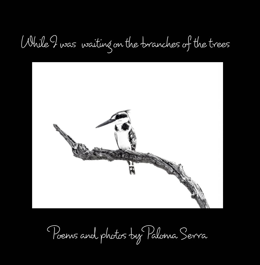 While I was waiting on the branches of the trees by Paloma Serra ...