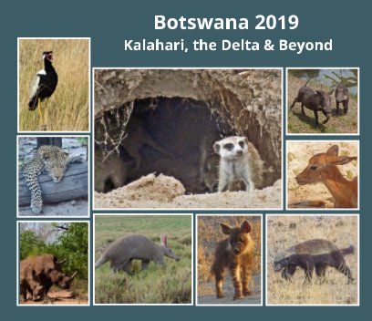 Botswana 2019 book cover