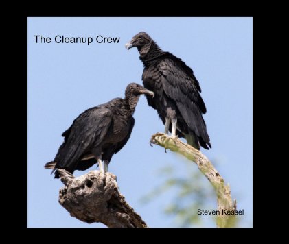 The Cleanup Crew book cover