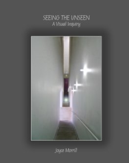Seeing the Unseen book cover