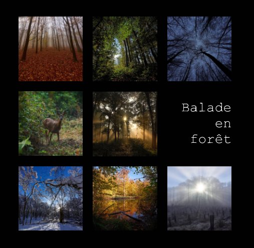 Ver Balade en foret por Rémi Bridot