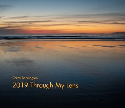 2019 Through My Lens book cover