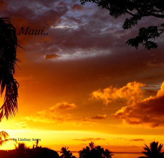 View Maui.. by Lindsay Ames